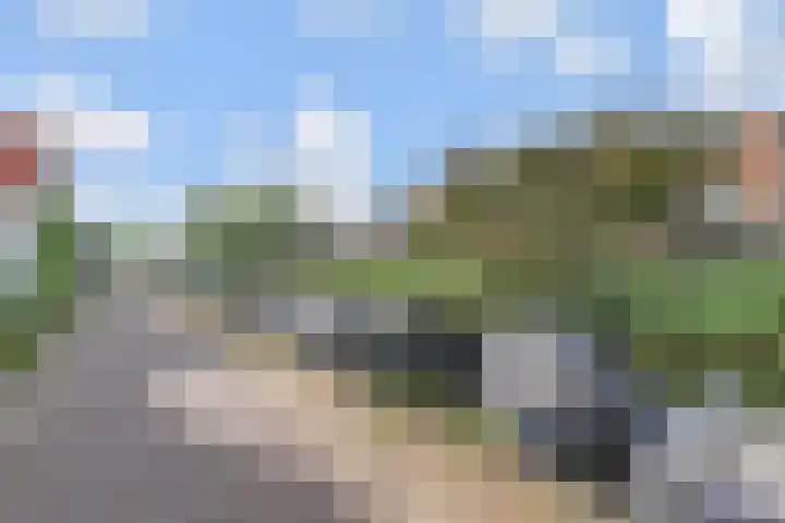 Molenlaan 25 Voorschoten thumbnail 7
