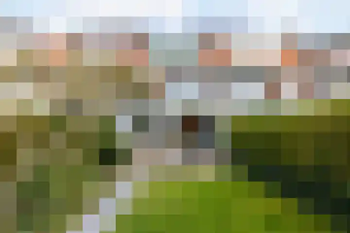 Molenlaan 250 Rotterdam thumbnail 15