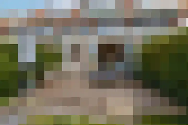 Molenlaan 250 Rotterdam thumbnail 16