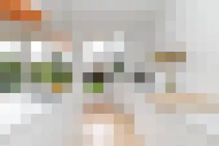 Molenlaan 250 Rotterdam thumbnail 17