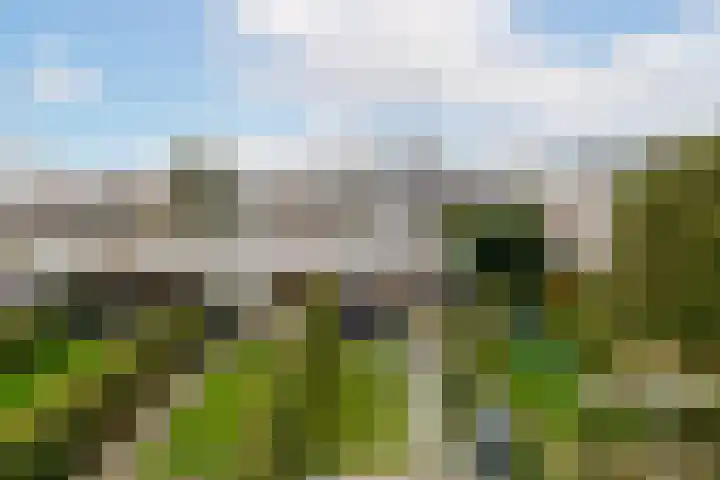 Molenlaan 250 Rotterdam thumbnail 32