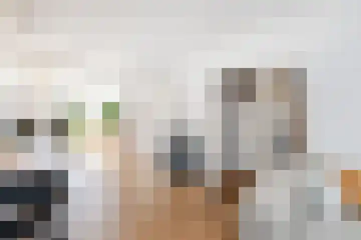 Molenlaan 250 Rotterdam thumbnail 4