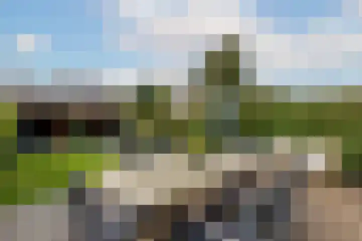 Molenlaan 250 Rotterdam thumbnail 5