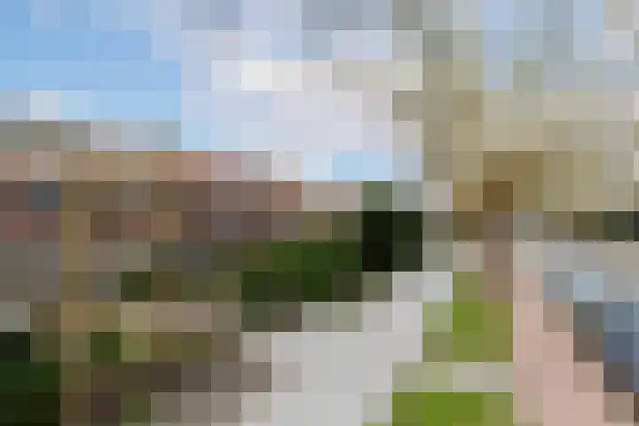 Molenlaan 250 Rotterdam thumbnail 51