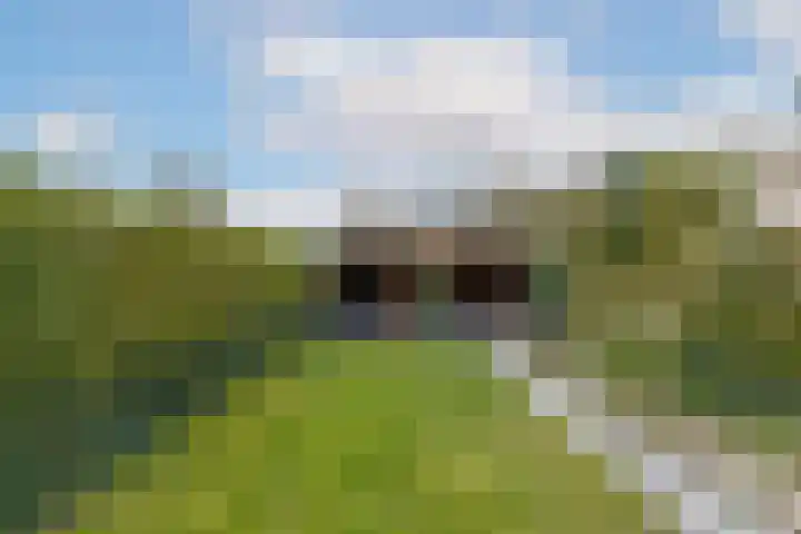 Molenlaan 250 Rotterdam thumbnail 54