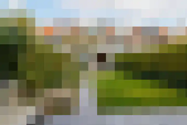 Molenlaan 250 Rotterdam thumbnail 55