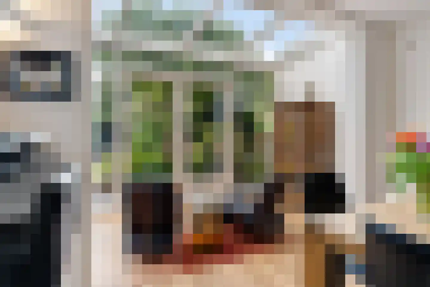Molenlaan 251 Rotterdam thumbnail 18