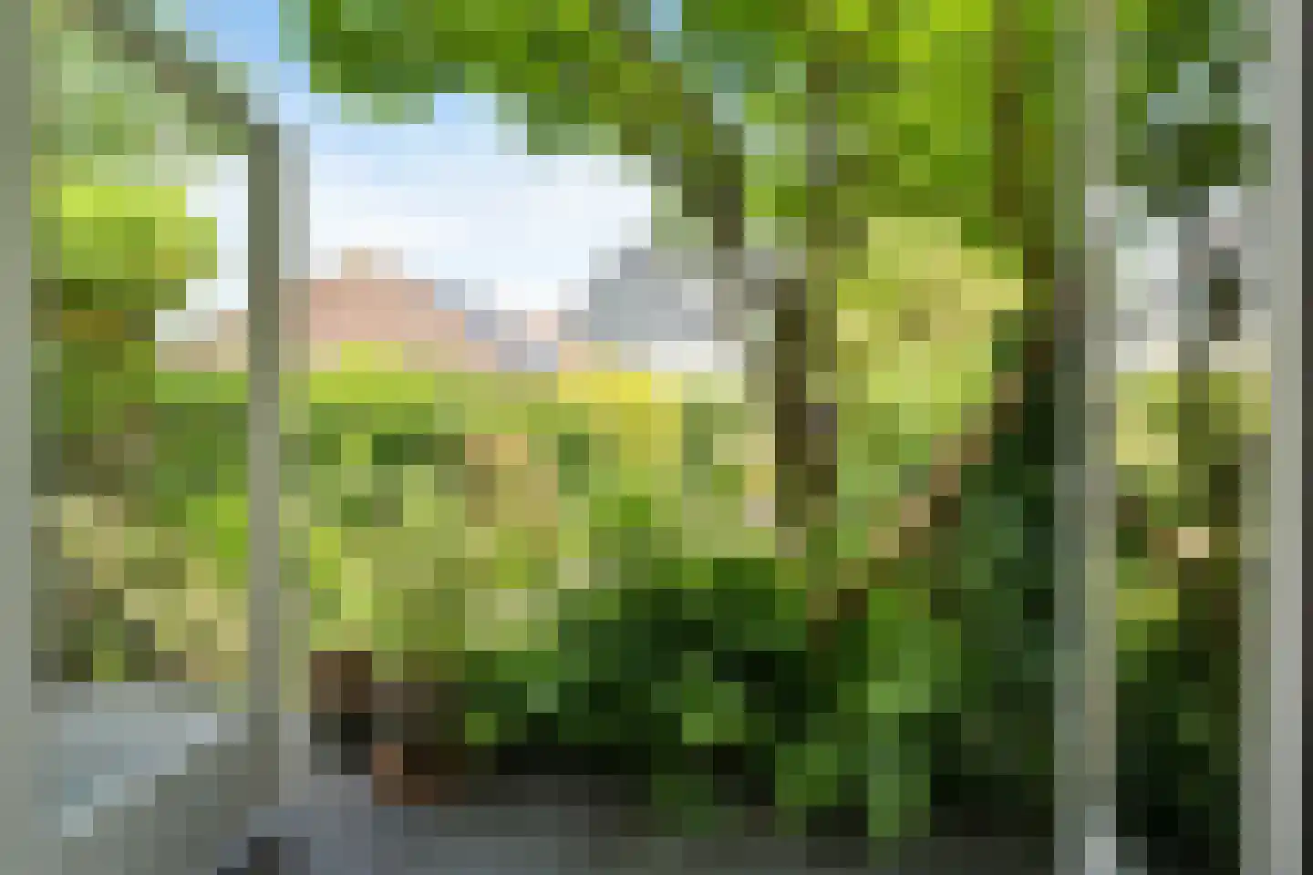 Molenlaan 251 Rotterdam thumbnail 32