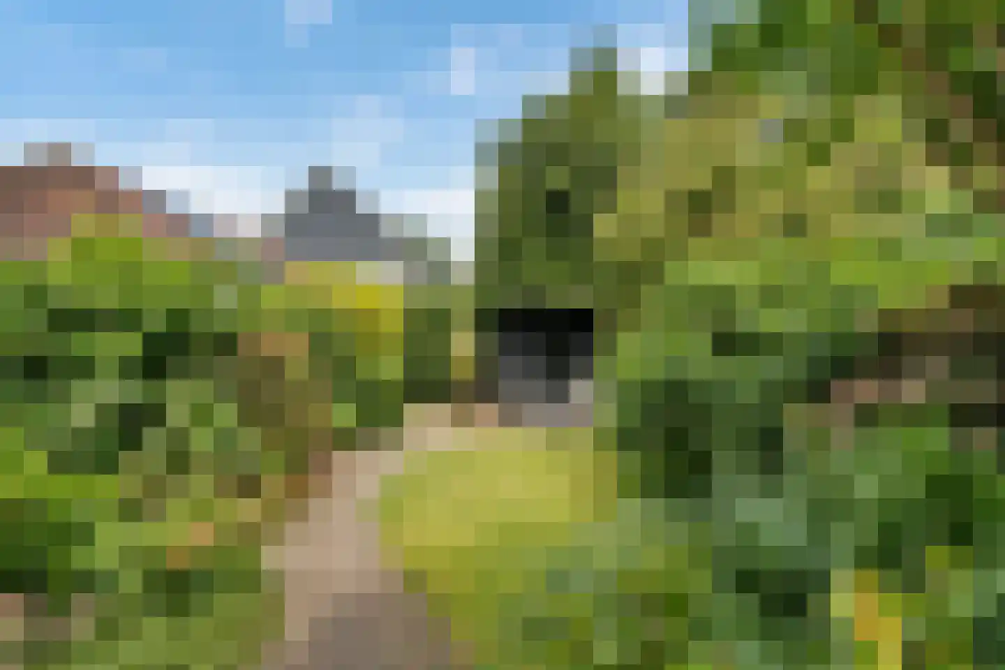 Molenlaan 251 Rotterdam thumbnail 33