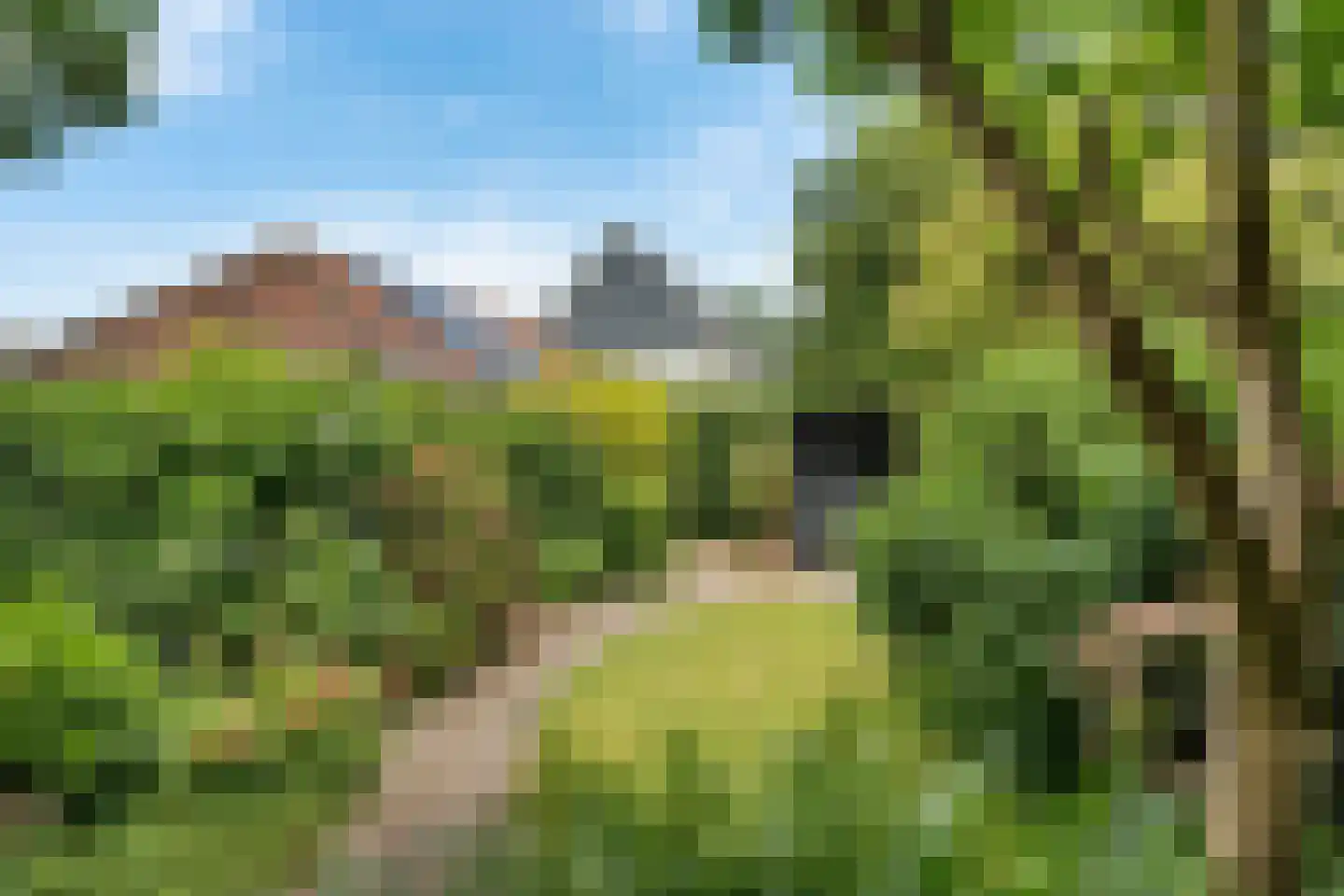 Molenlaan 251 Rotterdam thumbnail 34