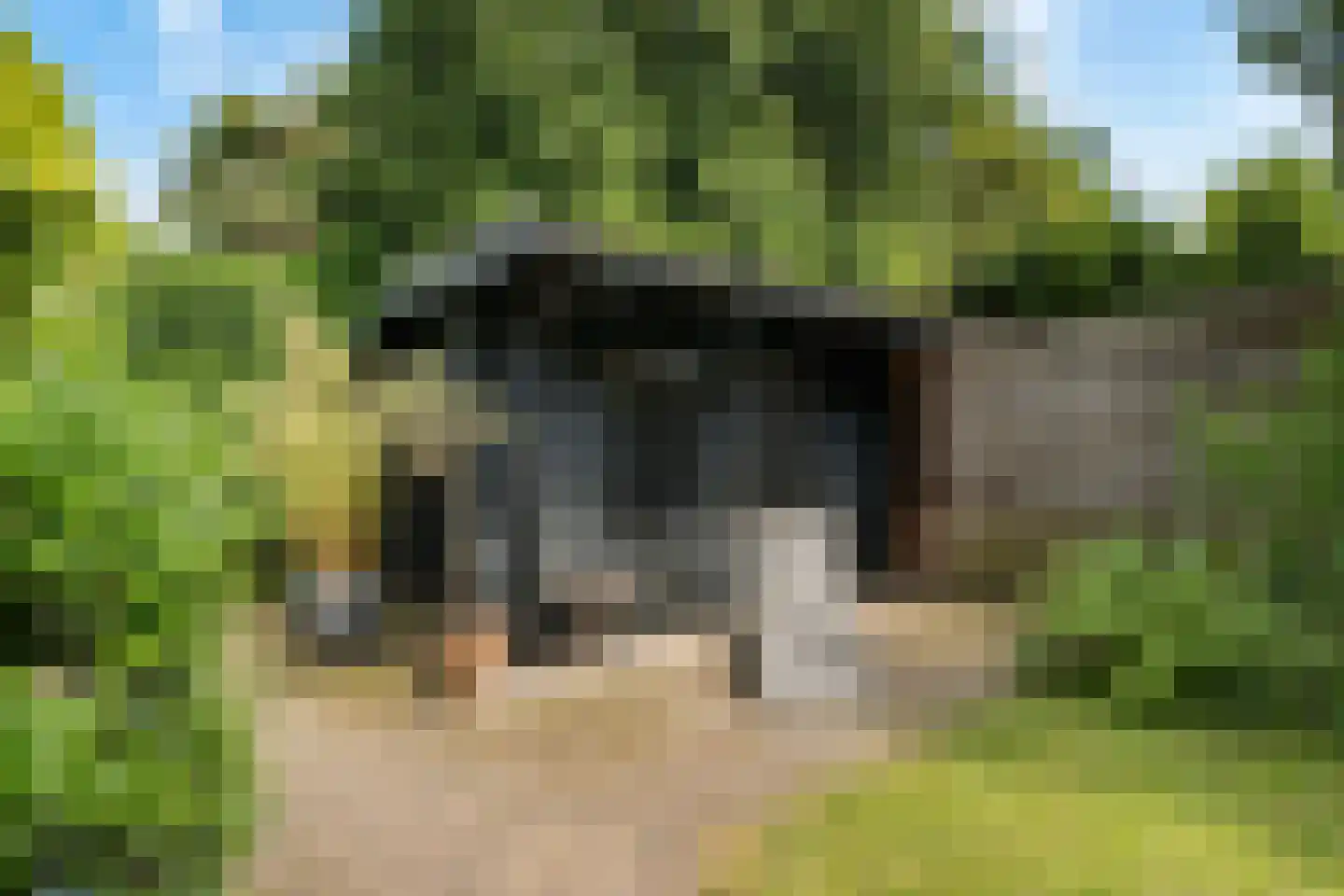 Molenlaan 251 Rotterdam thumbnail 35