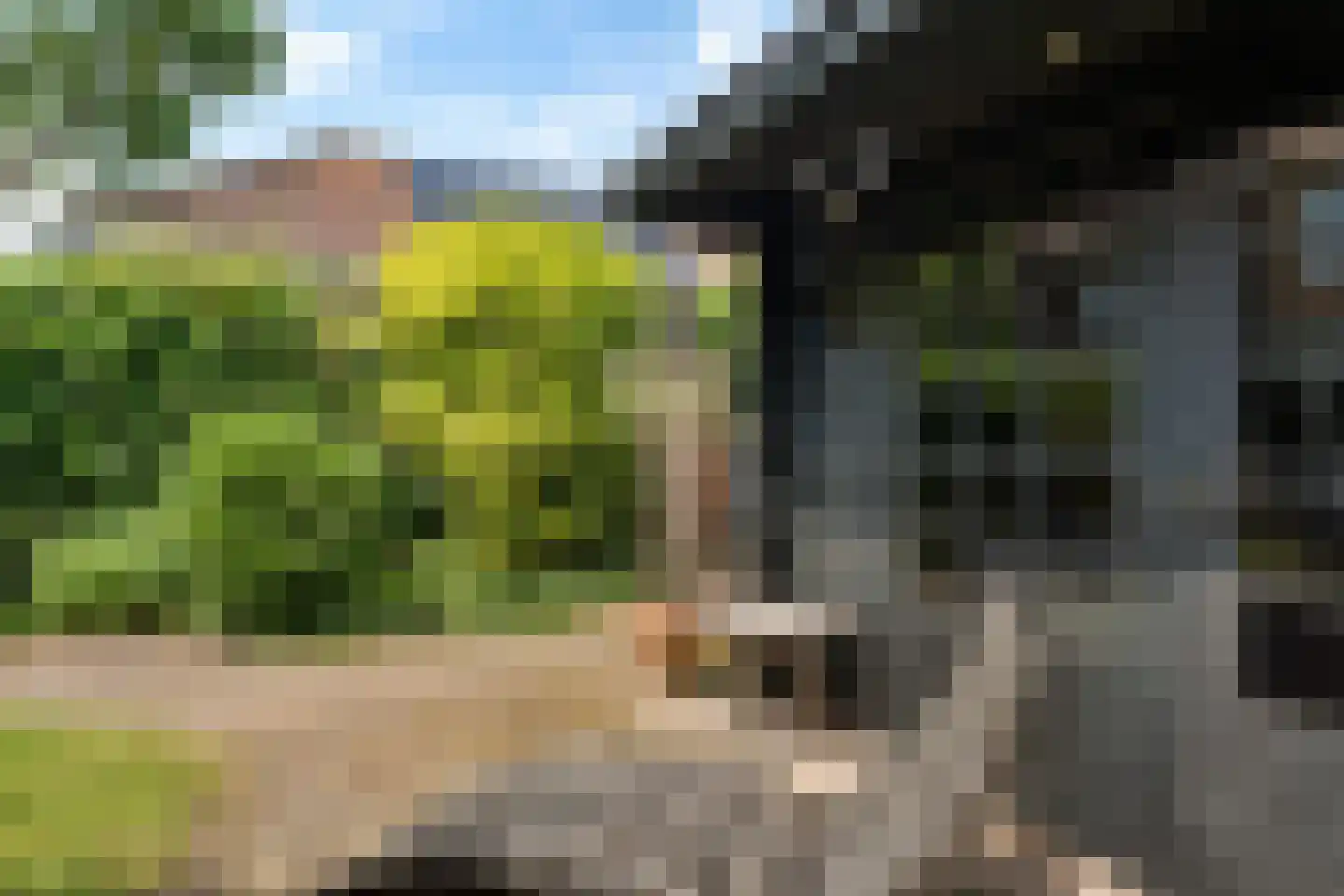 Molenlaan 251 Rotterdam thumbnail 36