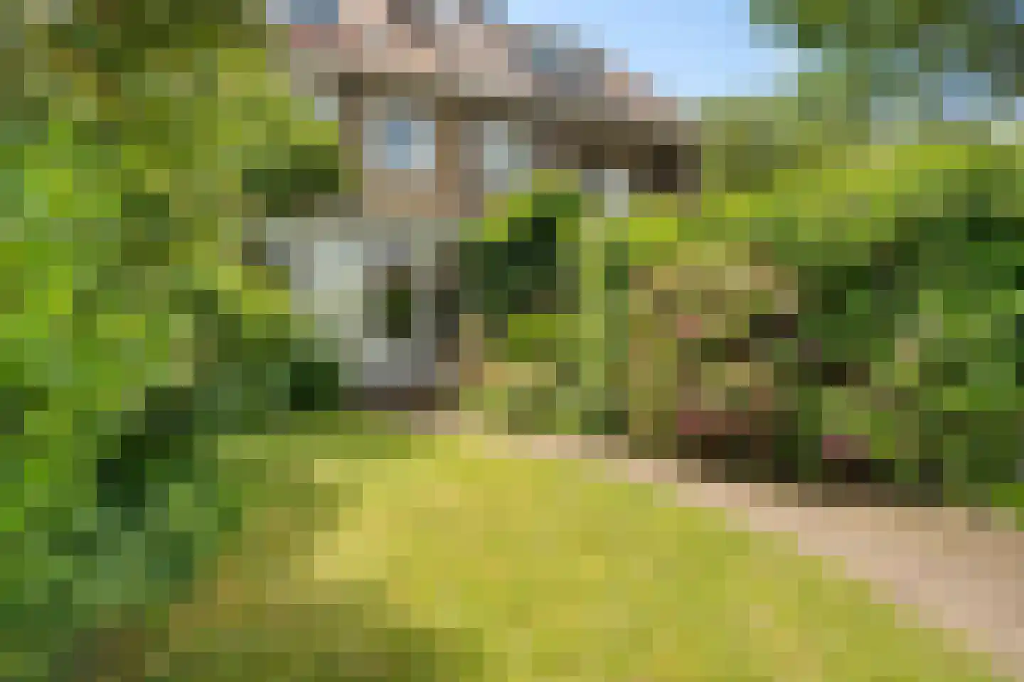 Molenlaan 251 Rotterdam thumbnail 37