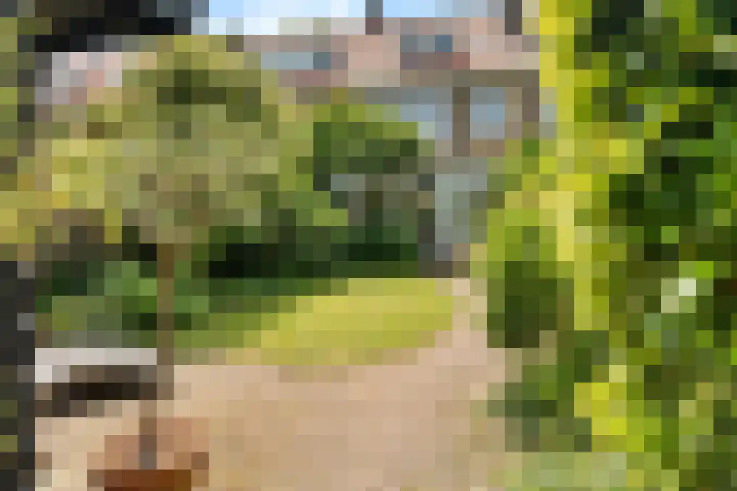 Molenlaan 251 Rotterdam thumbnail 38
