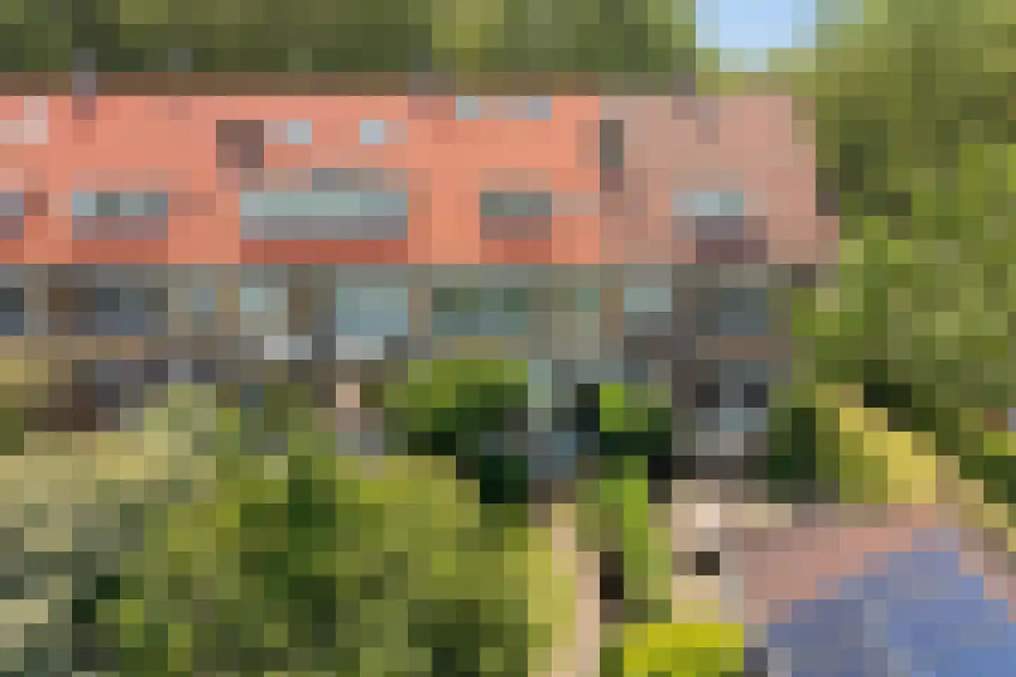 Molenlaan 251 Rotterdam thumbnail 39