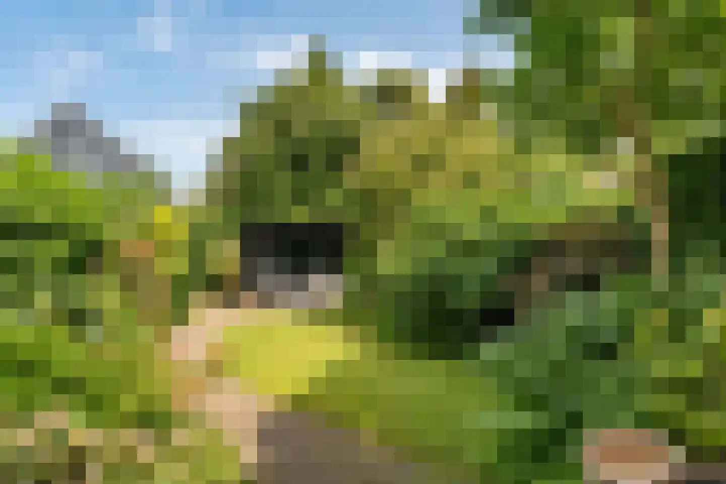Molenlaan 251 Rotterdam thumbnail 4