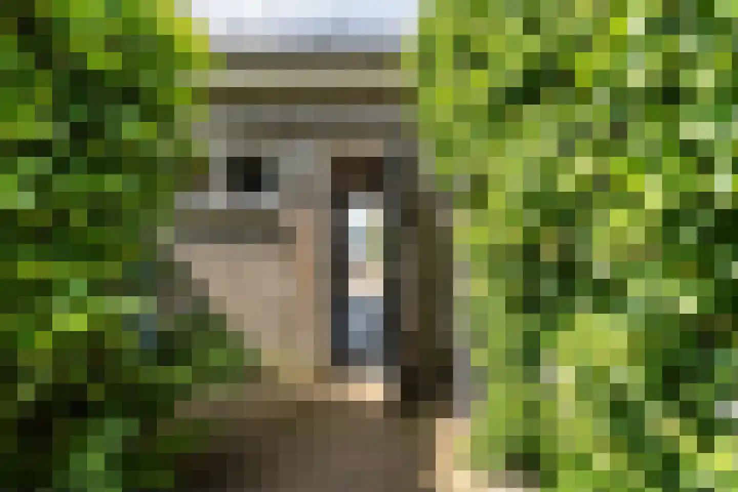Molenlaan 251 Rotterdam thumbnail 43