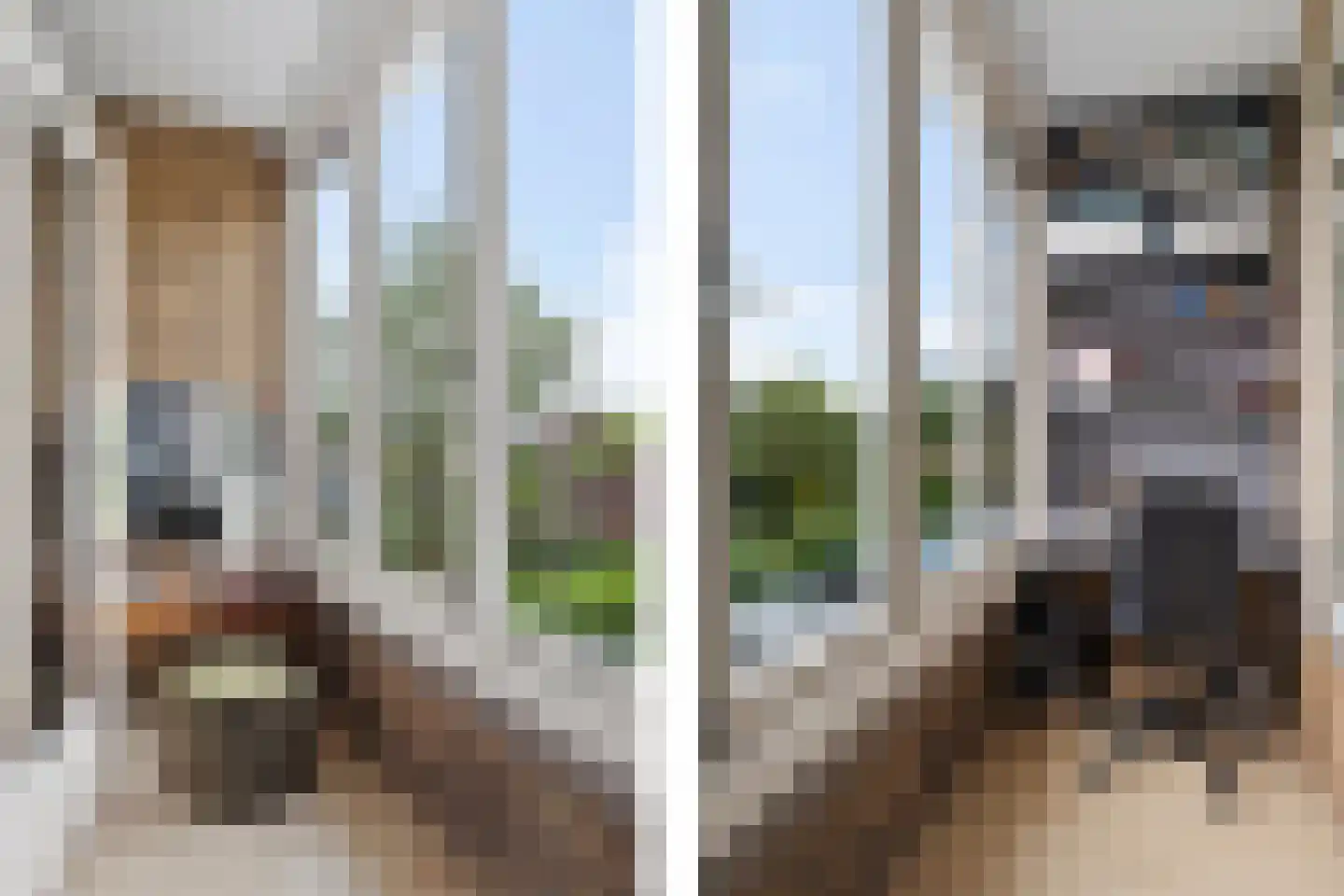 Molenlaan 251 Rotterdam thumbnail 58