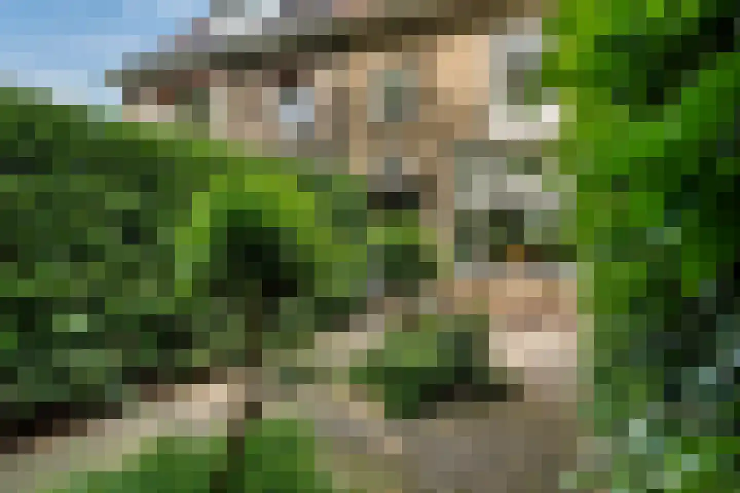 Molenlaan 251 Rotterdam thumbnail 6