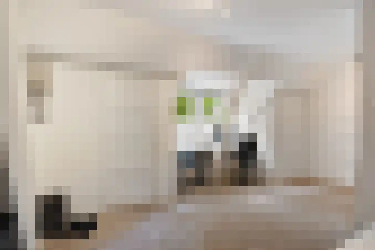 Molenlaan 251 Rotterdam thumbnail 76