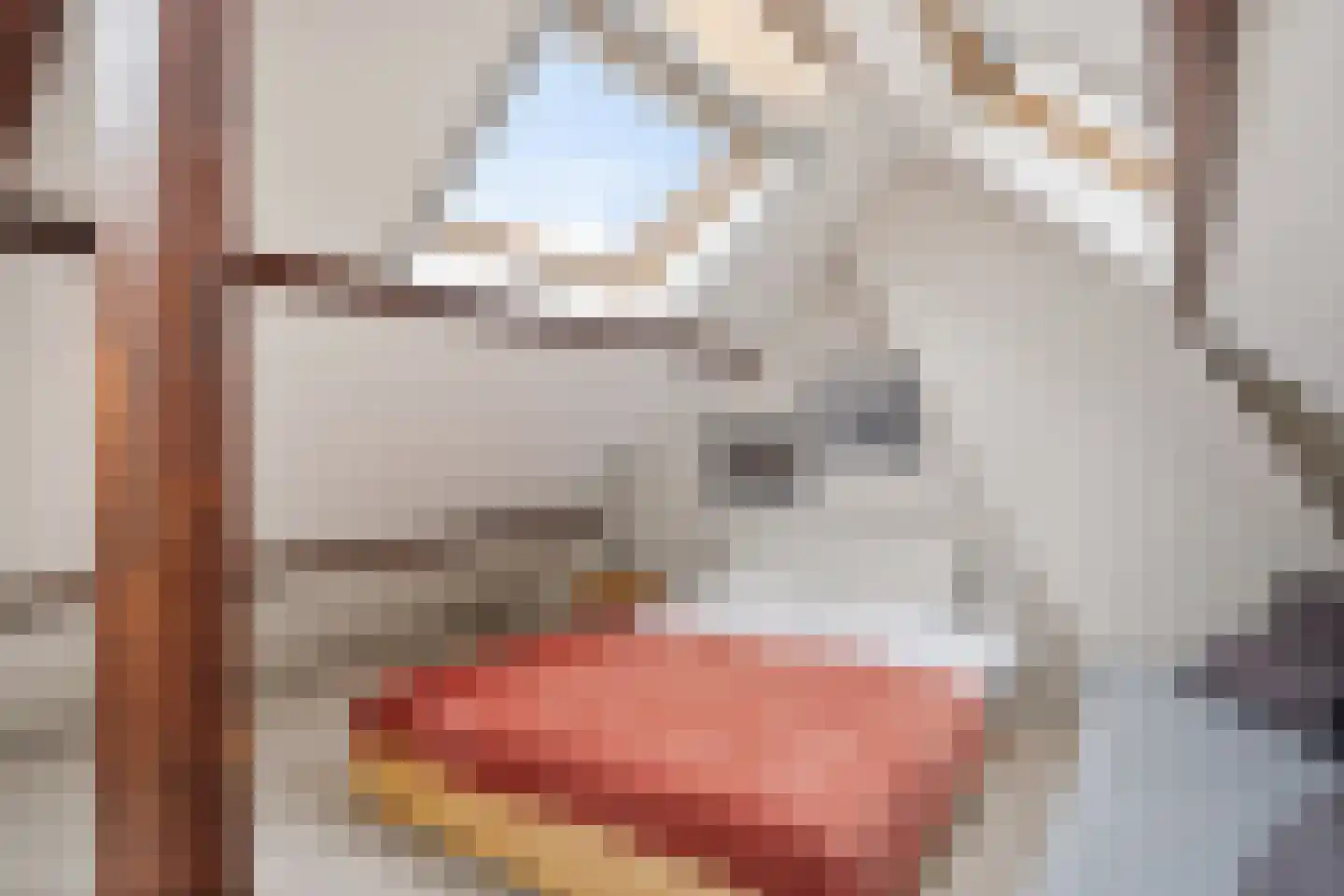 Molenlaan 251 Rotterdam thumbnail 81