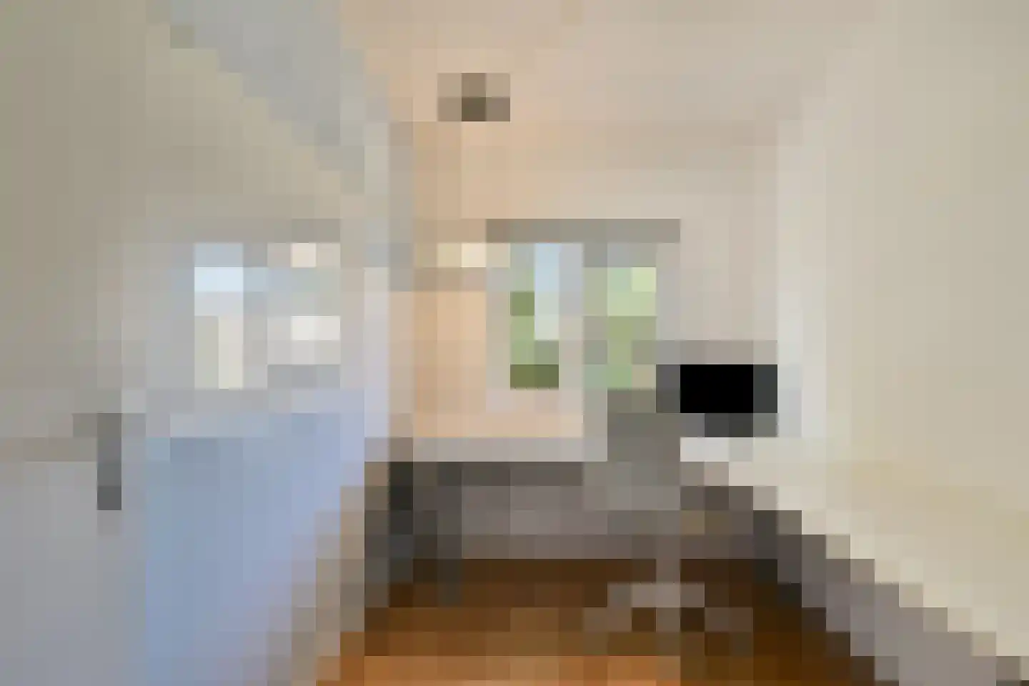 Molenlaan 258 Rotterdam thumbnail 20