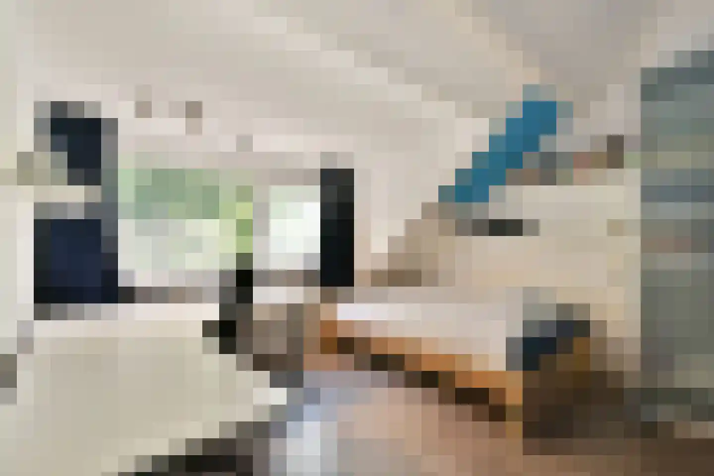 Molenlaan 258 Rotterdam thumbnail 26