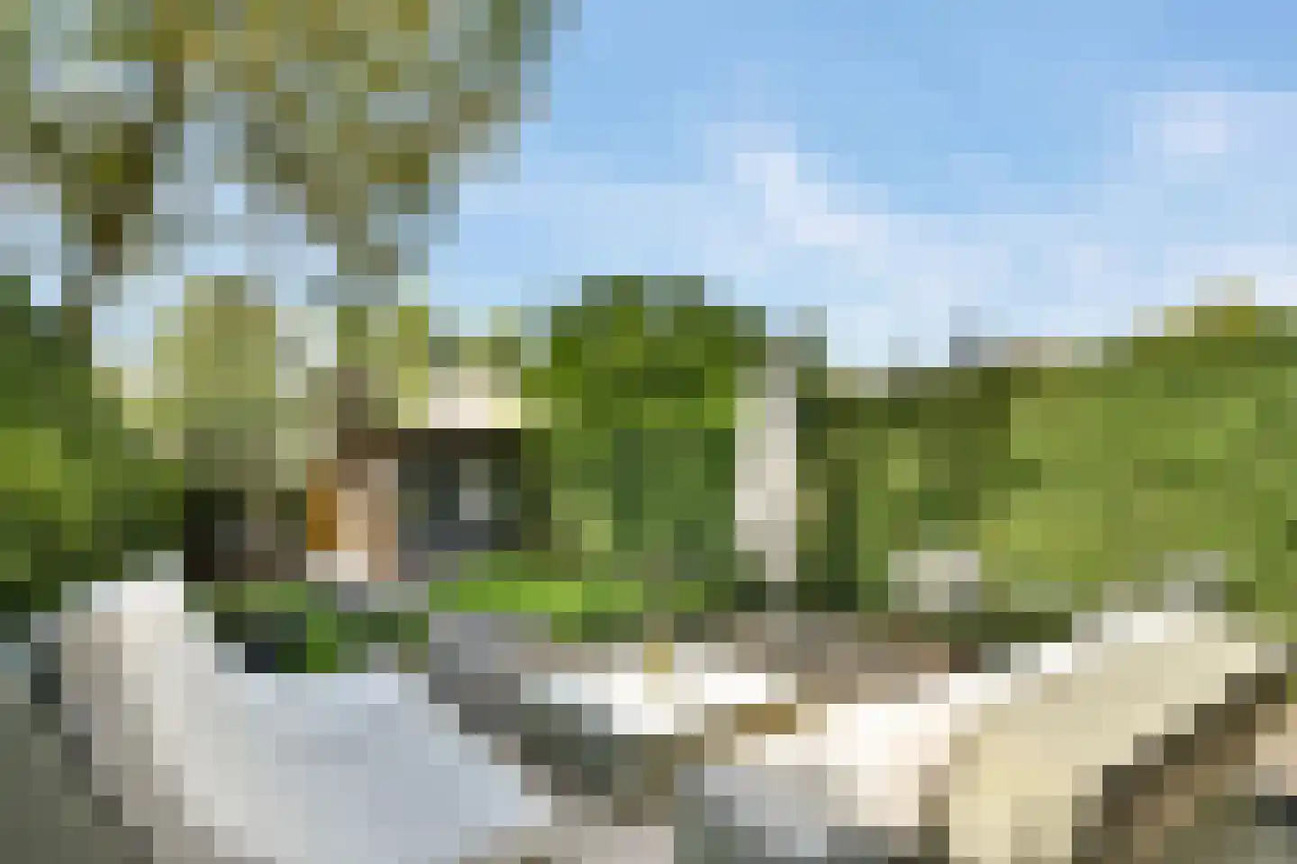 Molenlaan 258 Rotterdam thumbnail 28