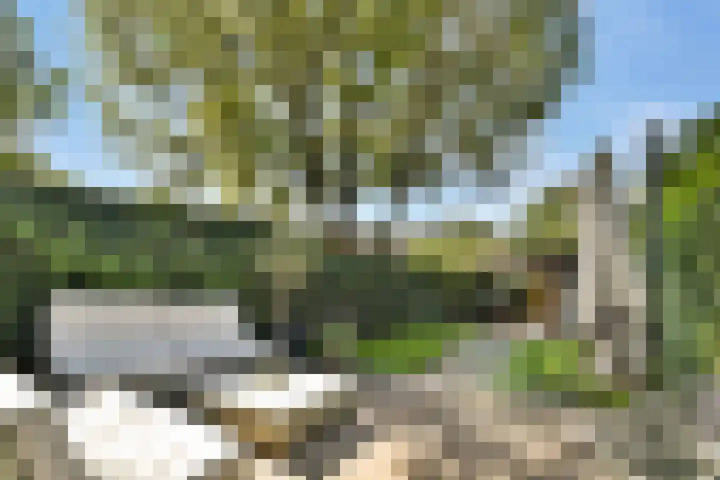Molenlaan 258 Rotterdam thumbnail 30