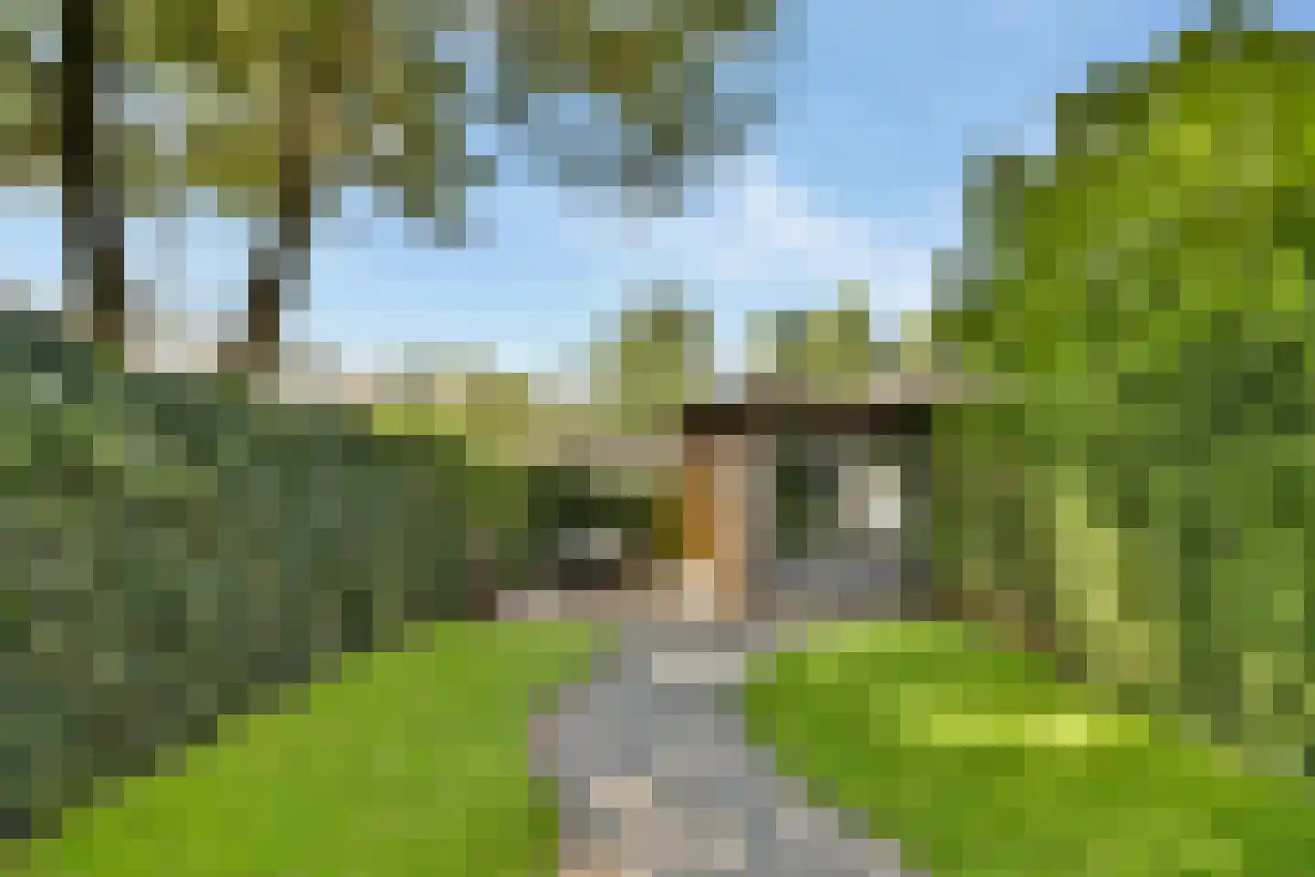 Molenlaan 258 Rotterdam thumbnail 32