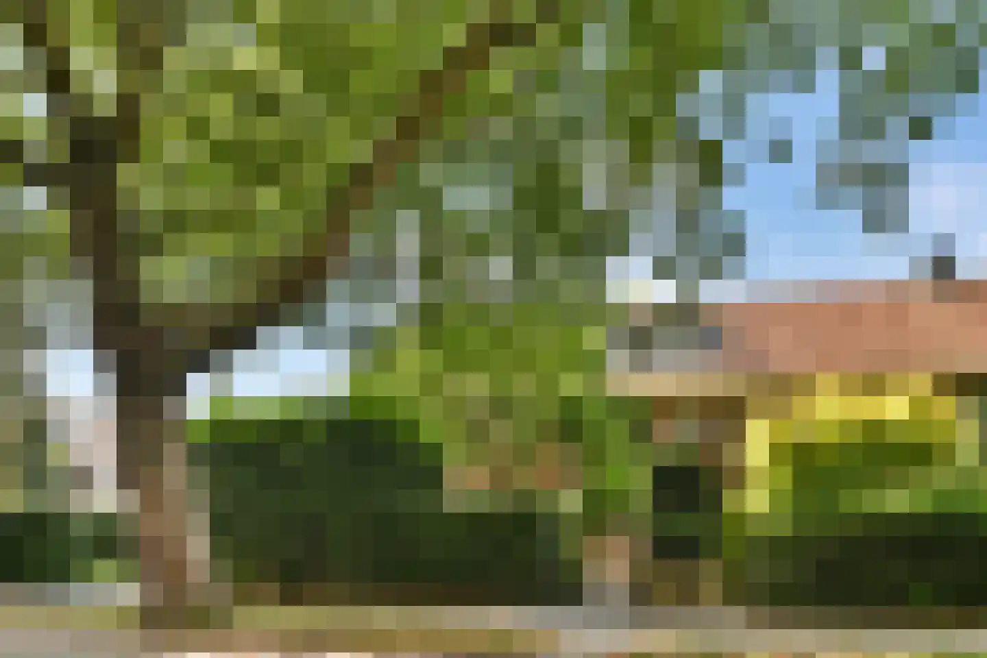 Molenlaan 258 Rotterdam thumbnail 35