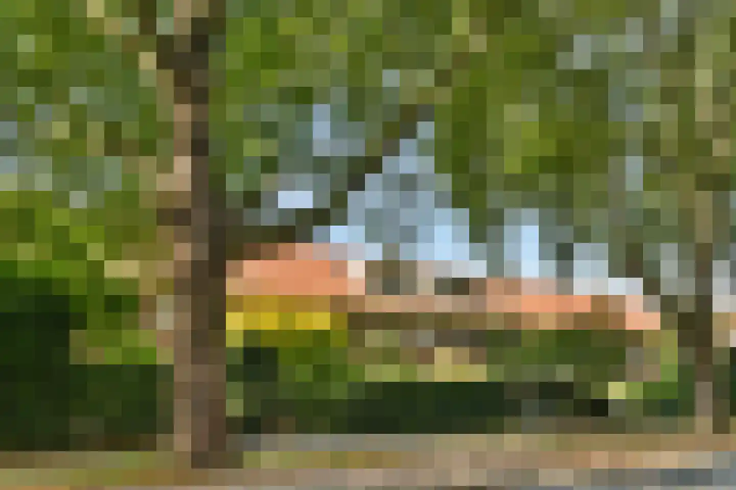 Molenlaan 258 Rotterdam thumbnail 36