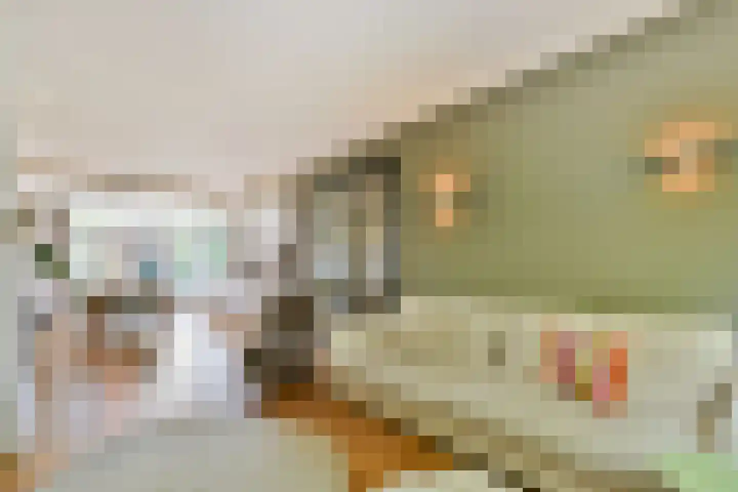 Molenlaan 258 Rotterdam thumbnail 6