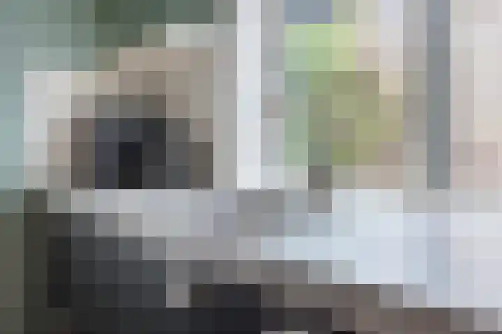 Molenlaan 26 Bussum thumbnail 15