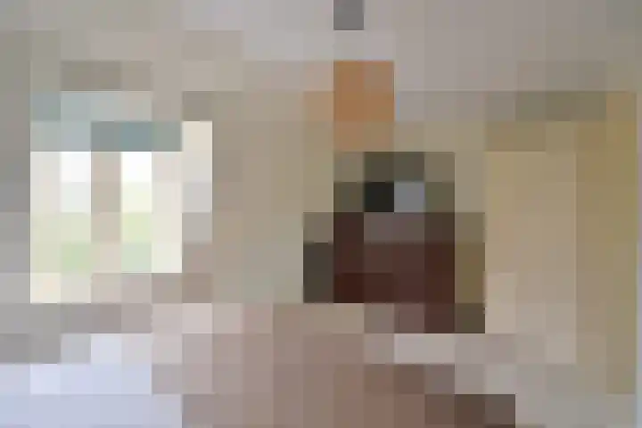 Molenlaan 29 Bussum thumbnail 16
