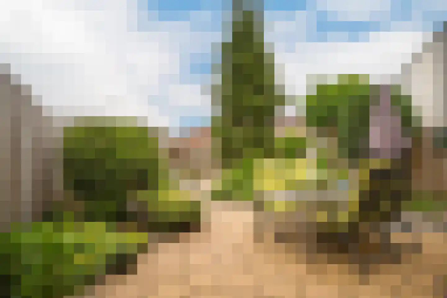 Molenlaan 30 Groot-Ammers thumbnail 22