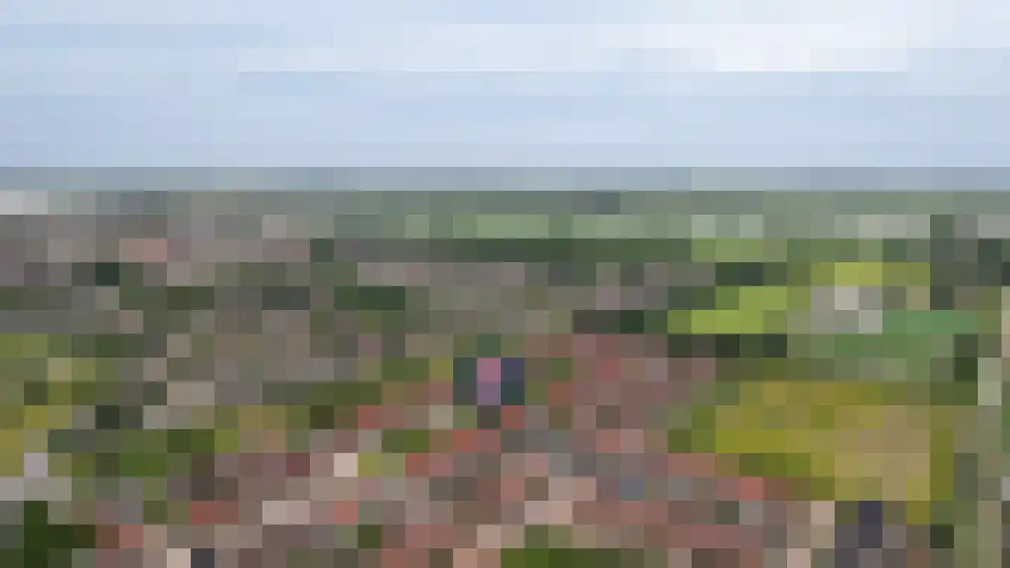 Molenlaan 30 Groot-Ammers thumbnail 31
