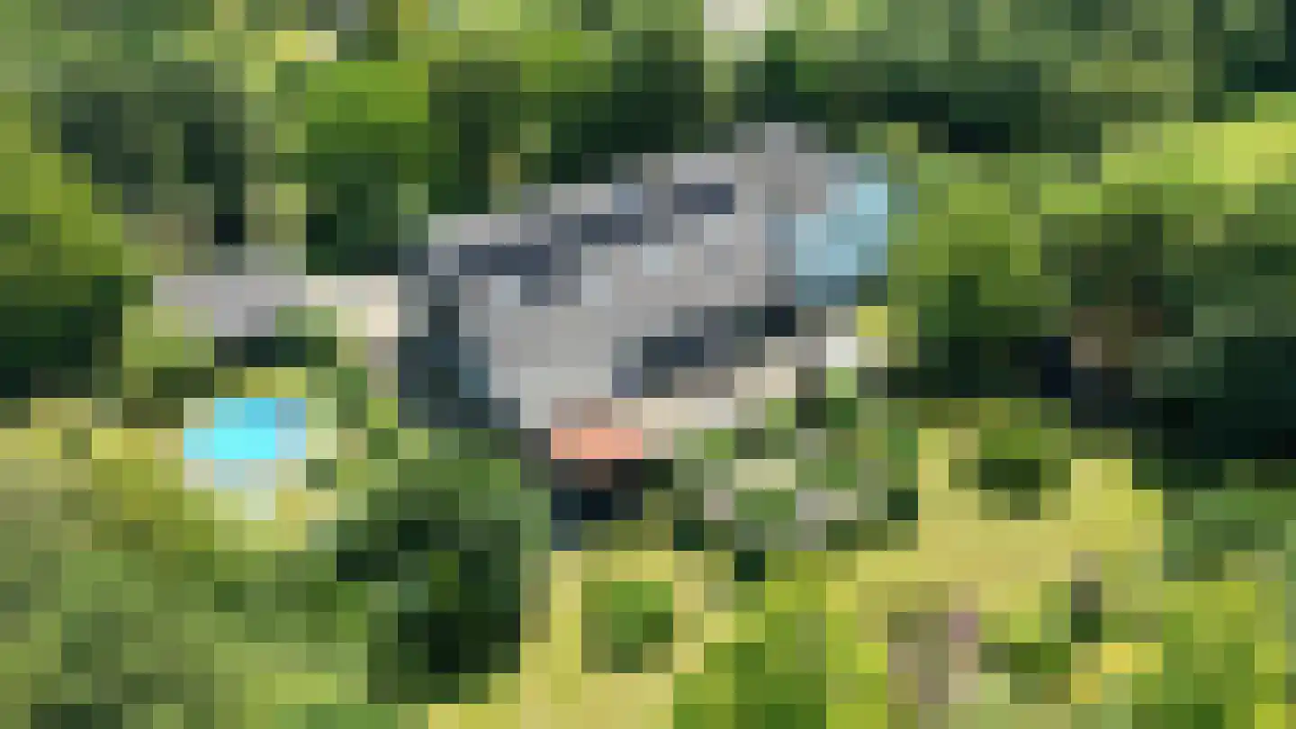 Molenlaan 31 Sommelsdijk