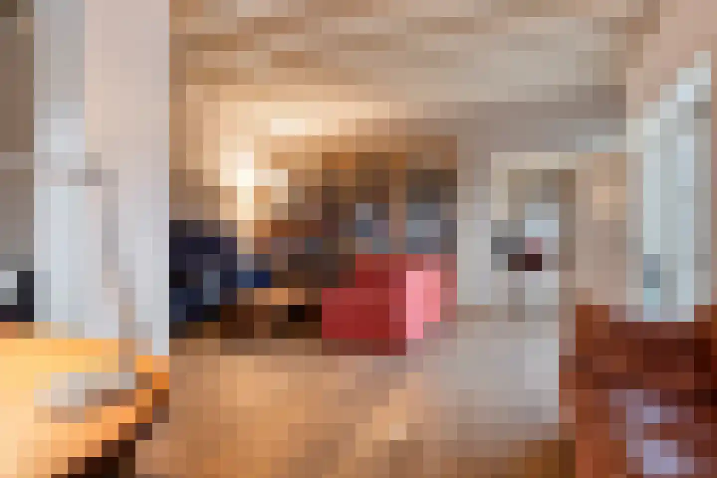 Molenlaan 31 Sommelsdijk thumbnail 11