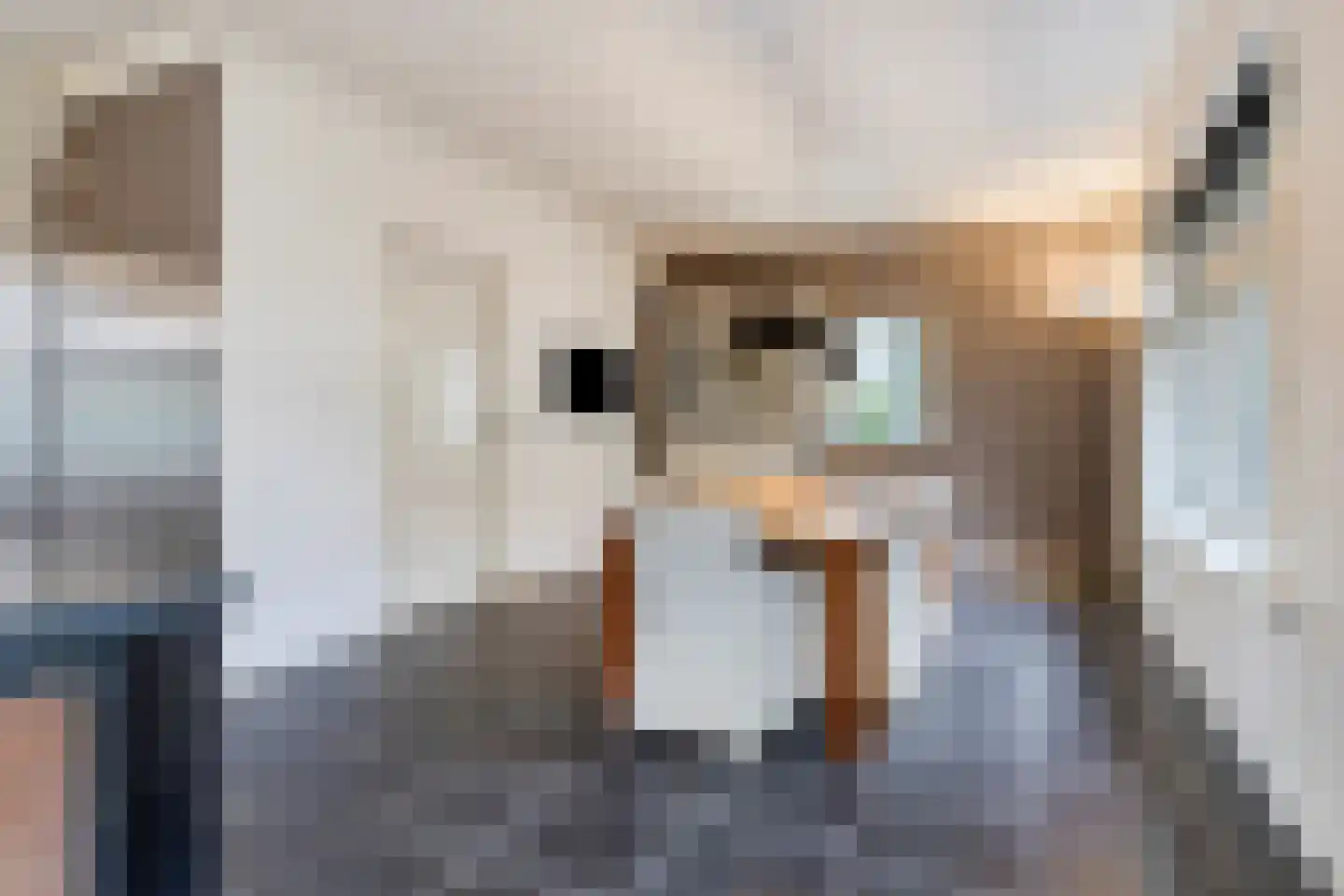 Molenlaan 31 Sommelsdijk thumbnail 15