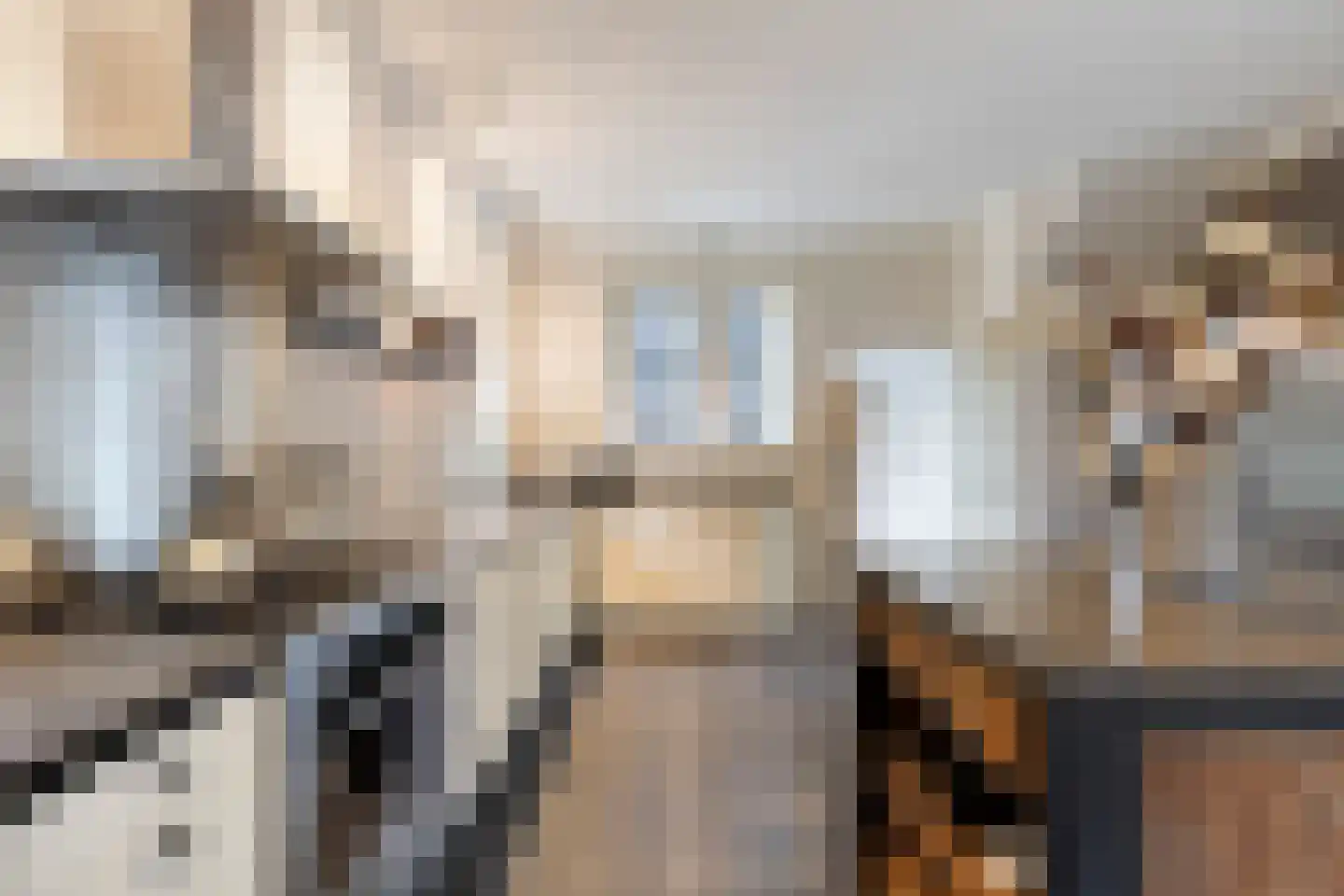 Molenlaan 31 Sommelsdijk thumbnail 16