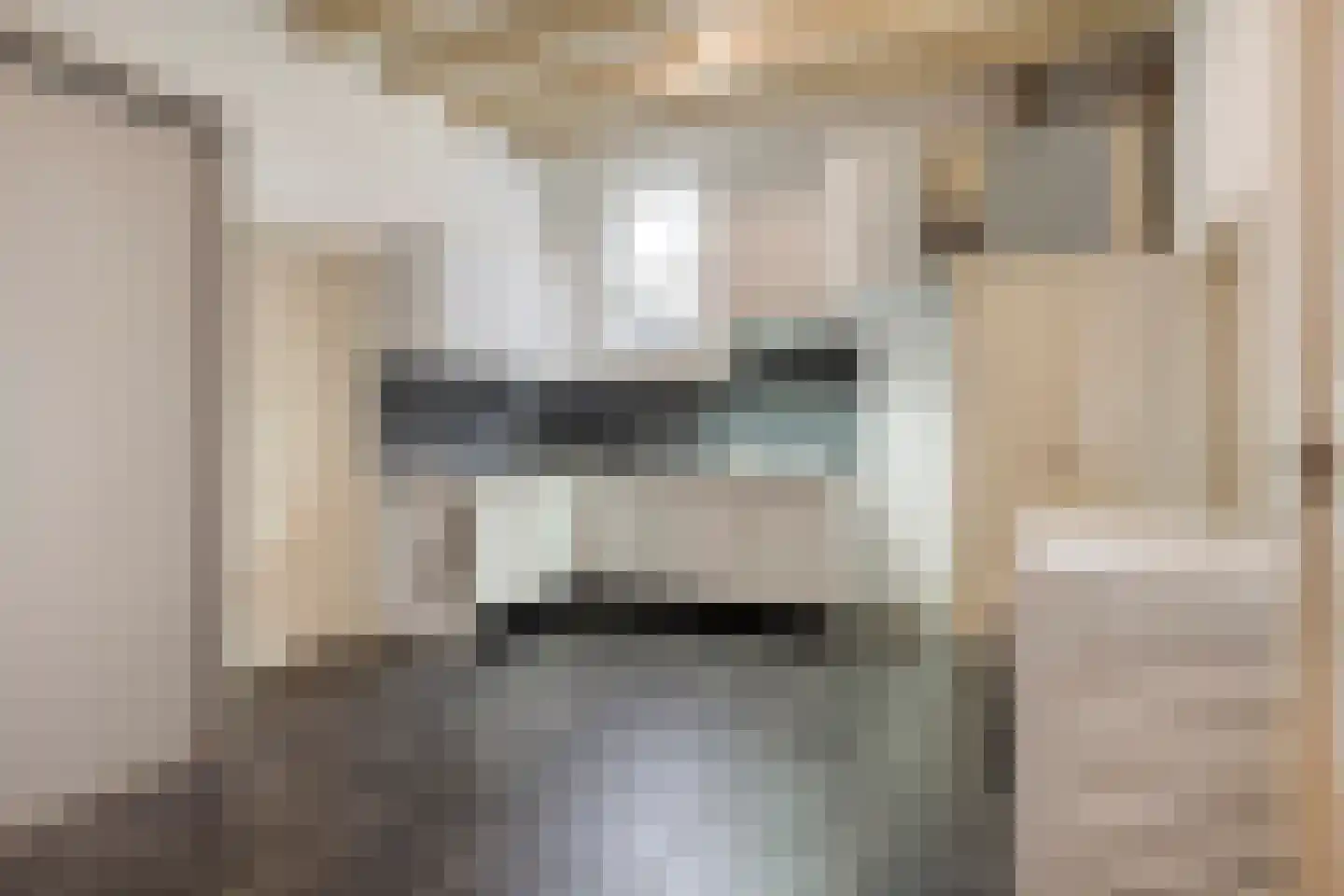 Molenlaan 31 Sommelsdijk thumbnail 18