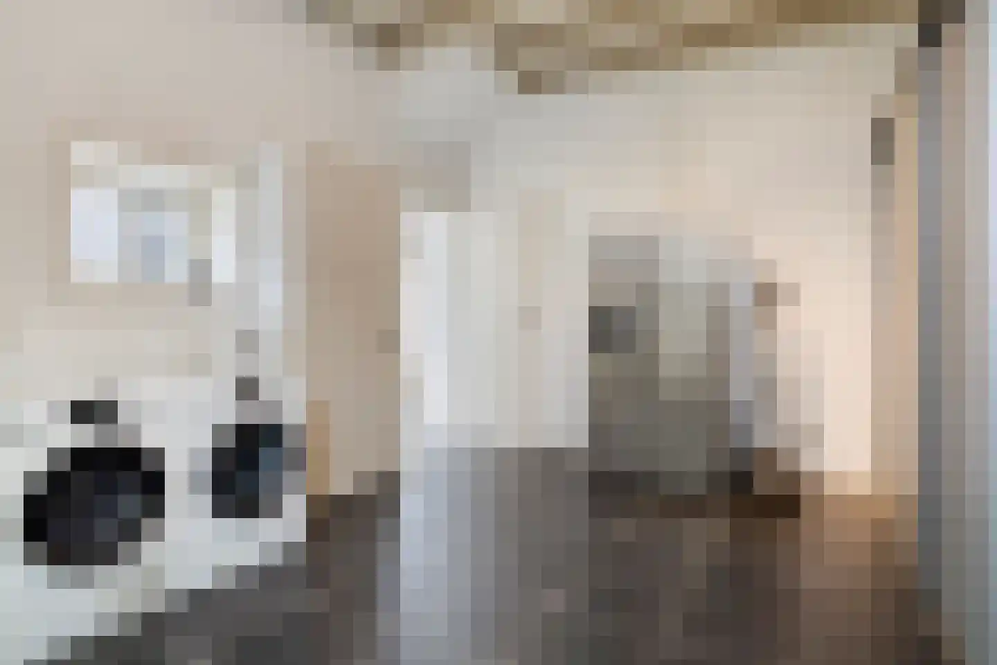 Molenlaan 31 Sommelsdijk thumbnail 19