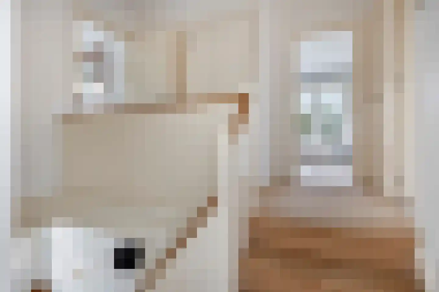 Molenlaan 31 Sommelsdijk thumbnail 32