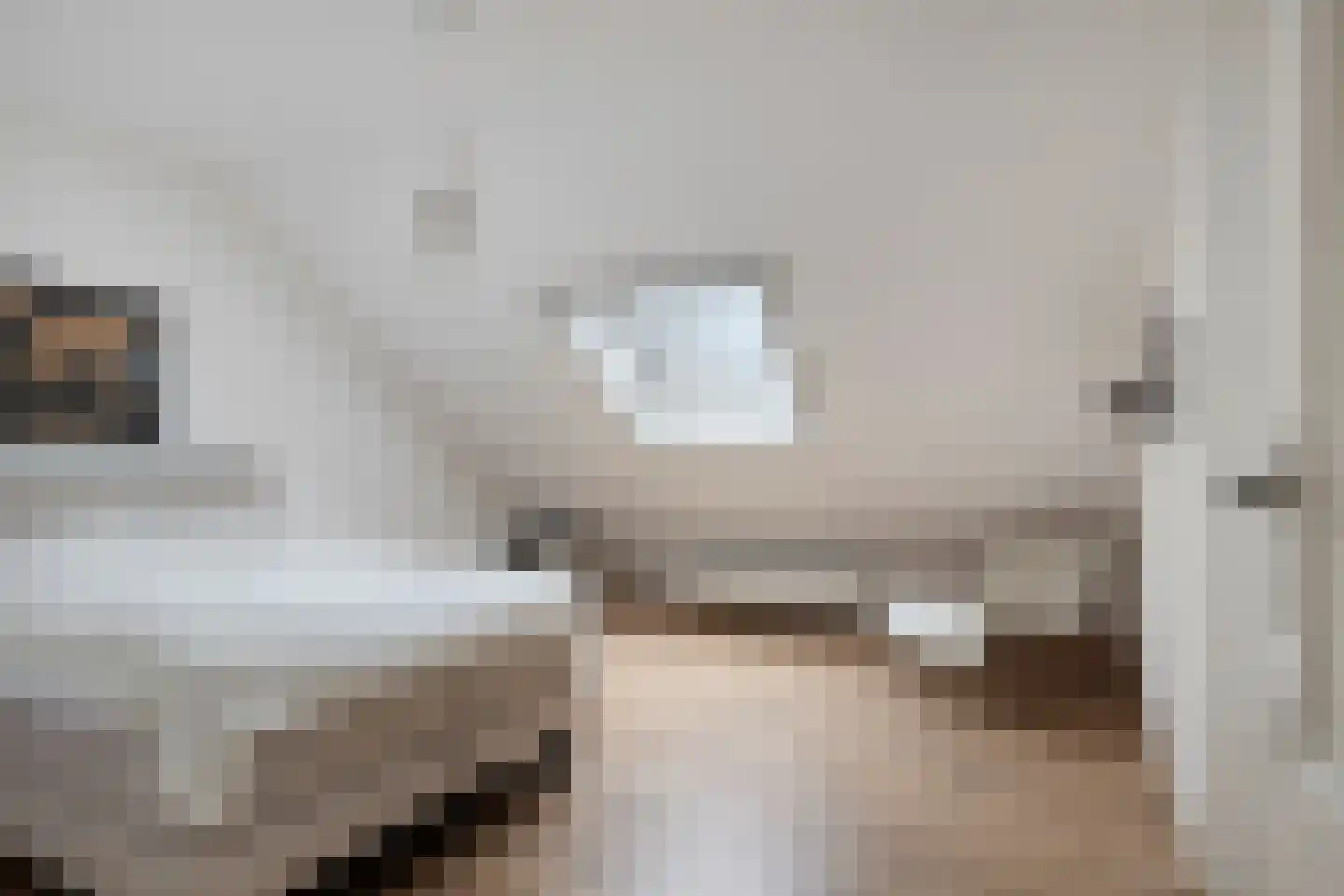 Molenlaan 31 Sommelsdijk thumbnail 36