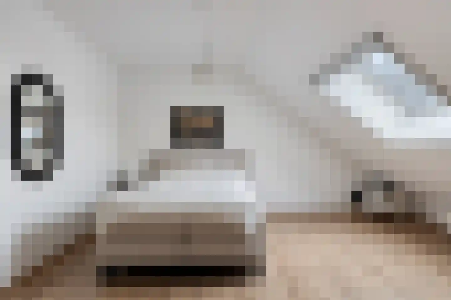 Molenlaan 31 Sommelsdijk thumbnail 37