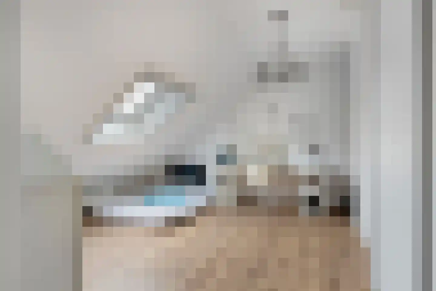 Molenlaan 31 Sommelsdijk thumbnail 38