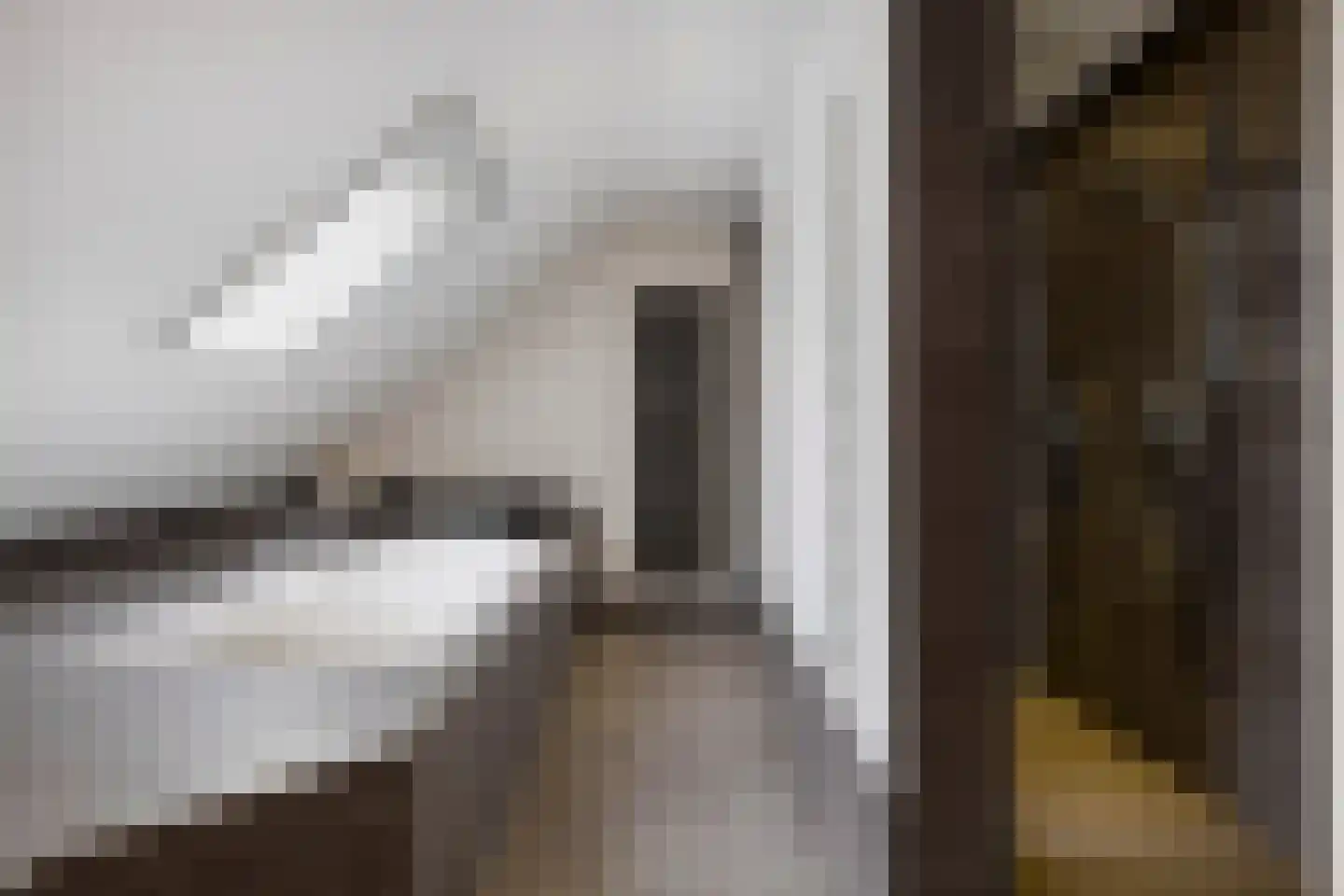 Molenlaan 31 Sommelsdijk thumbnail 4