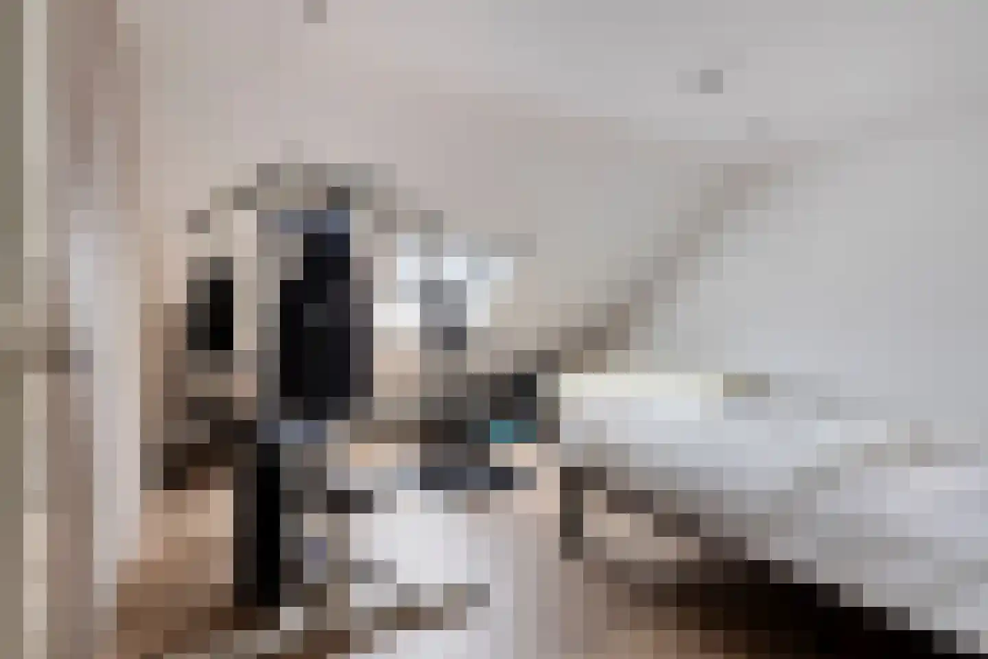 Molenlaan 31 Sommelsdijk thumbnail 40