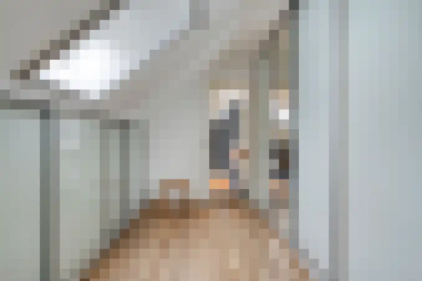 Molenlaan 31 Sommelsdijk thumbnail 42